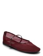 Mash Balerina Steve Madden Burgundy