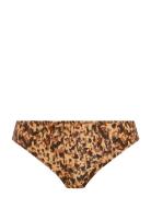 Arizona Wave Freya Brown