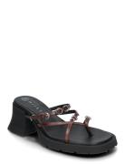 Jaslene Brown Sandal MIISTA Black