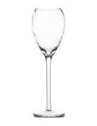 Champagne Glass Opacity Byon