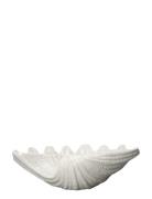 Bowl Shell Byon White