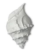 Wall And Table Lamp Kay Byon White