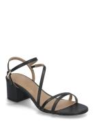 Emberlyn_San50_Vc BOSS Black