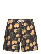 Hco. Guys Swim Hollister Black