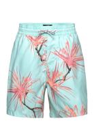 Vacay Lb Billabong Blue