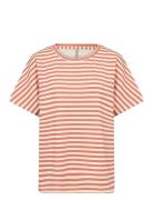 Sc-Barni Soyaconcept 