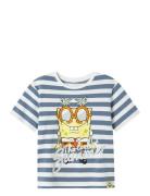Nkmmansa Spongsb Nreg Ss Top Box Cplg Name It Blue