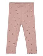 Tnsbodelia Rib Leggings The New Pink