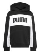 Ess Block Hoodie Tr B PUMA Black