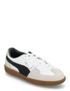 Palermo Lth Ps PUMA White