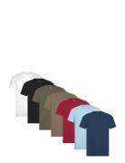 Hco. Guys Knits Hollister Patterned