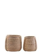 Plant Kurv House Doctor Brown