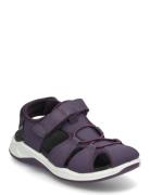 X-Trinsic K ECCO Purple