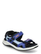X-Trinsic K ECCO Blue