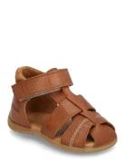 Sandals - Flat - Closed Toe ANGULUS Brown