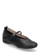 Gracia Wonders Black