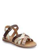 Bisgaard Aline Bisgaard Brown