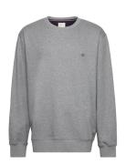 Reg Shield Cneck Sweat GANT Grey
