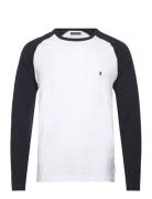 Raglan Ls French Connection White