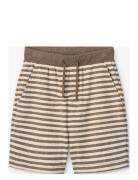 Pelon S MarMar Copenhagen Brown