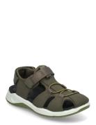 X-Trinsic K ECCO Green