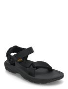 Hurricane Xlt 2 Teva Black