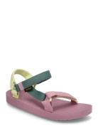 Original Universal Teva Pink