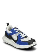 Biom 2.2 K ECCO Blue