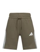 J Cb Short Adidas Sportswear Khaki