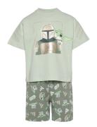 Lk Sw Mndo Tset Adidas Sportswear Green