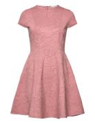 Clodaa Ted Baker London Pink