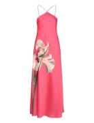 Ajima Ted Baker London Pink