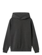 Nlnnizu Ls Bru Sweat W. Hood Noos LMTD Grey