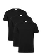 3-Pack Tee With Flag Print S/S Lindbergh Black