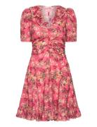 Cotton Party Mini Dress By Ti Mo Pink