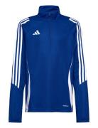 Tiro24 Trtopy Adidas Performance Blue