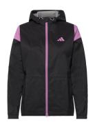 W R.rdy Jkt Adidas Golf Black
