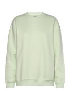 Apparel Sweatshirt Aim´n Green