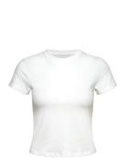 Cotton Blend Slim Tee Casall White