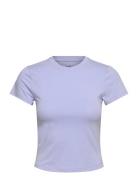 Cotton Blend Slim Tee Casall Purple