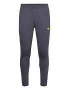 Individualcup Training Pants PUMA Grey