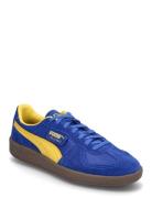 Palermo Vintage Update PUMA Blue