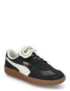 Palermo Premium PUMA Black