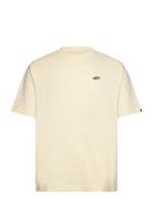 Style 76 Ii Loose Ss Tee VANS Cream