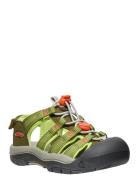 Ke Newport Boundless C-Dark KEEN Green