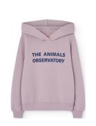 Taurus Kid Hoodie Lavand THE ANIMALS OBSERVATORY Pink