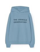 Taurus Kid Hoodie Blue THE ANIMALS OBSERVATORY Blue