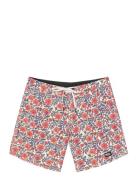 Andy Heritage P 17 Brds PICTURE ORGANIC CLOTHING Patterned