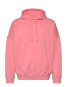 Surf Club Hood Nikben Pink