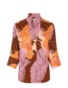 Kamidea Ev Dea Kudibal Brown